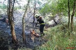 23.7.2015 zásah při požáru lesa v Říčanech - JSDH Tehov